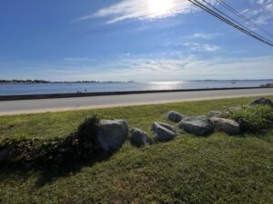 A grassy area with rocks and grass next to the water.